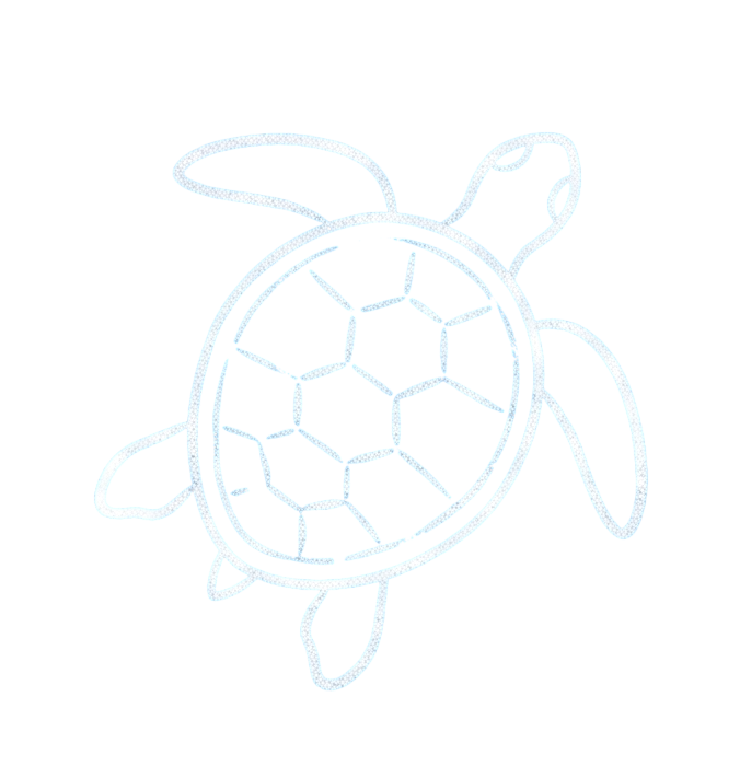 Snorkeling with Turtles