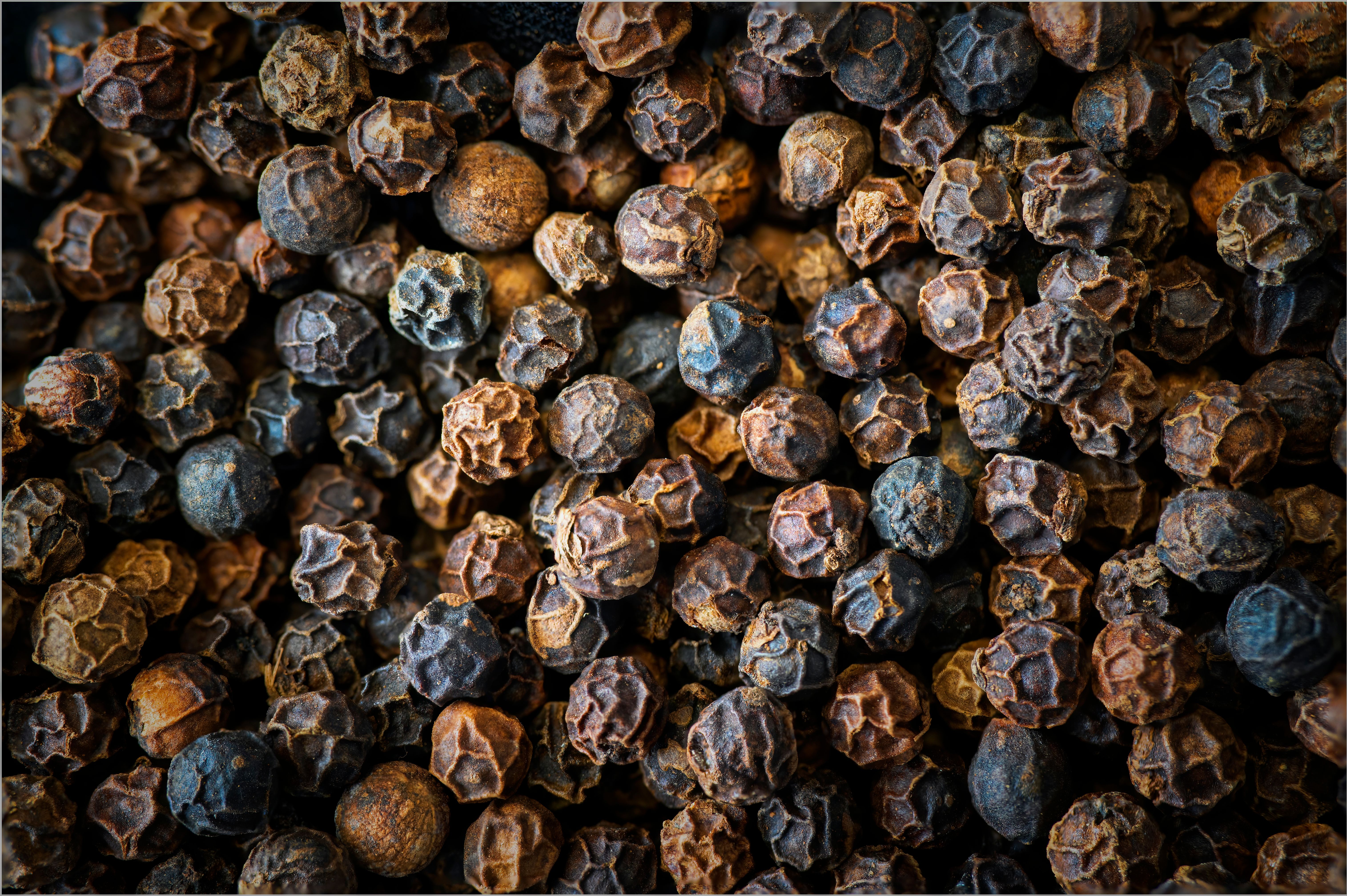 Whole Black Pepper from Sri Lanka