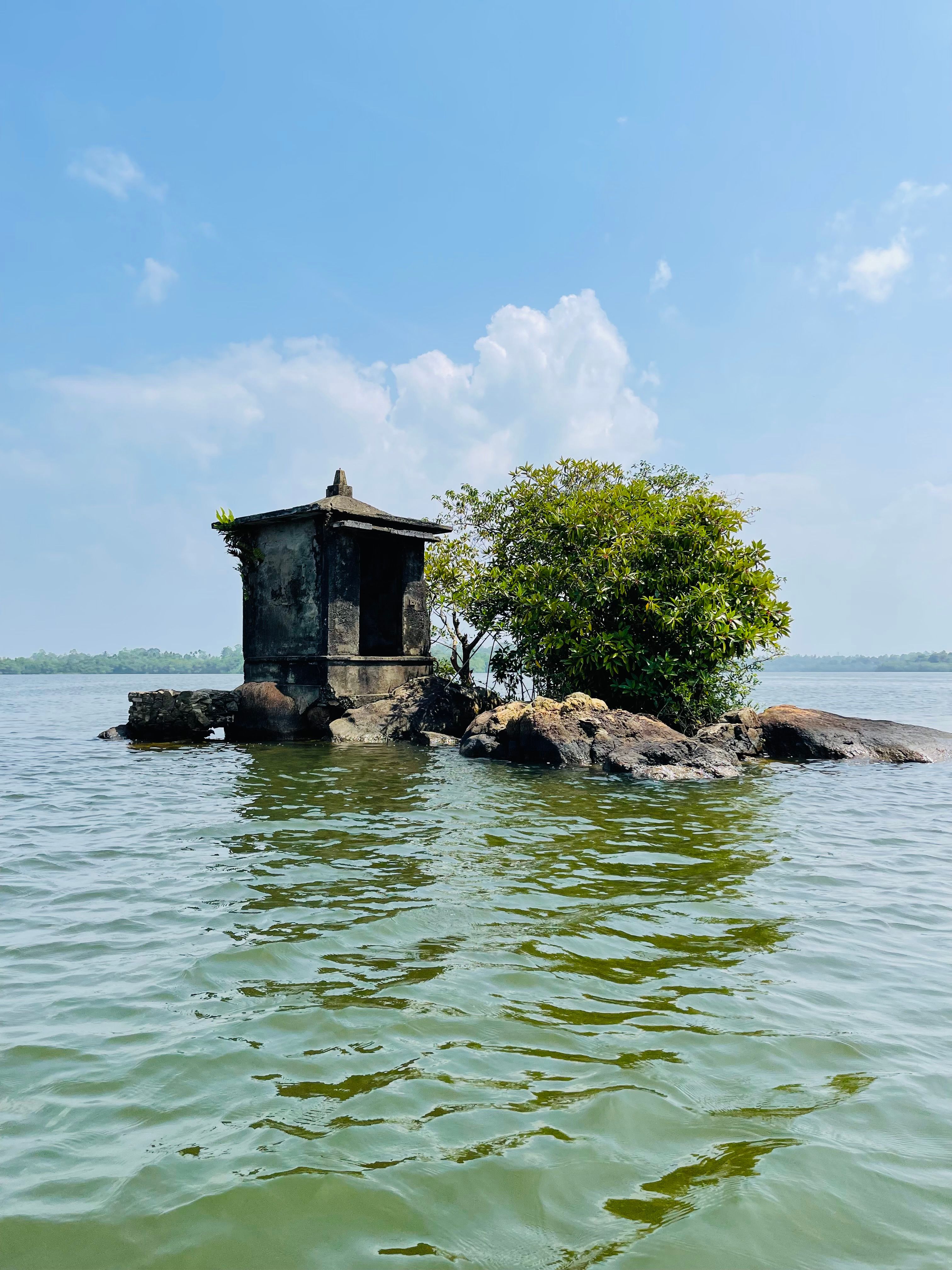Madu River Cruise and mangrove safari in Sri Lanka